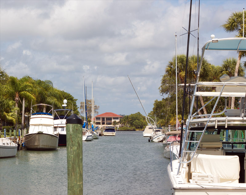 Venice Florida Real Estate